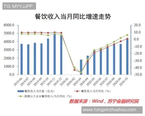 深圳与成都篮球队对决后分析比赛节奏与战术执行的深度复盘