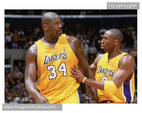 深圳篮球队强势崛起力量榜单最新TOP10揭晓 深圳篮球队强势崛起力量榜单最新TOP10揭晓