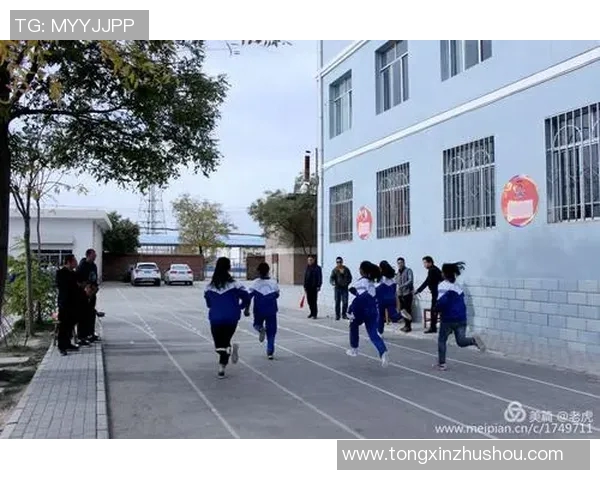 李强独家分享排球心得与技巧提升之道助你成为排球高手