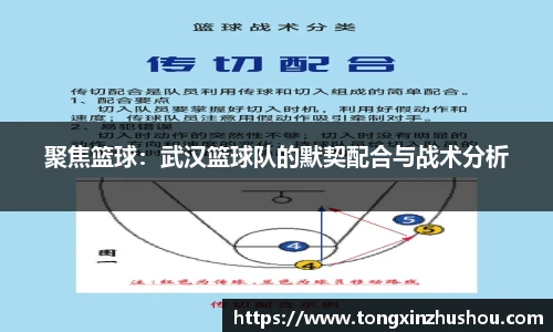 聚焦篮球：武汉篮球队的默契配合与战术分析