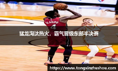 猛龙淘汰热火，霸气晋级东部半决赛
