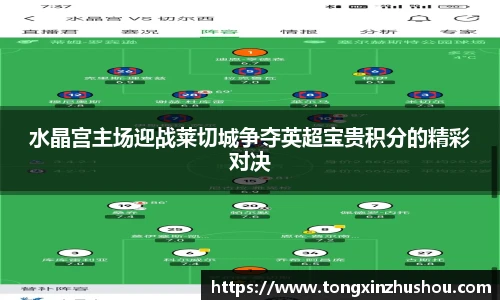 水晶宫主场迎战莱切城争夺英超宝贵积分的精彩对决